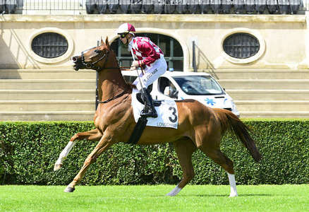 Actualités Hippiques